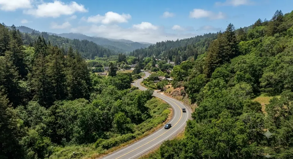 Bohemian Highway, California