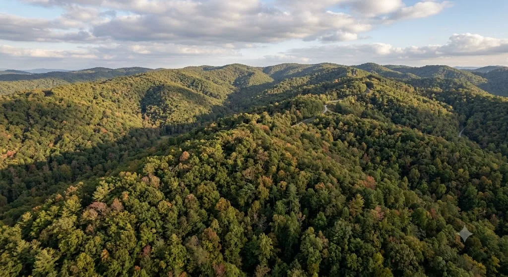 Cherokee National Forest, Tennessee