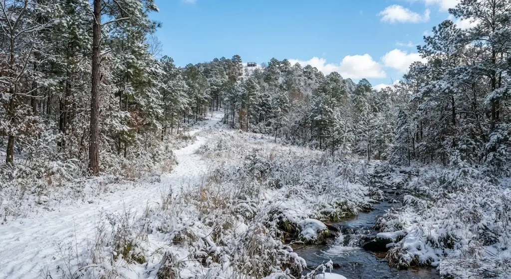 Driskill Mountain, Louisiana