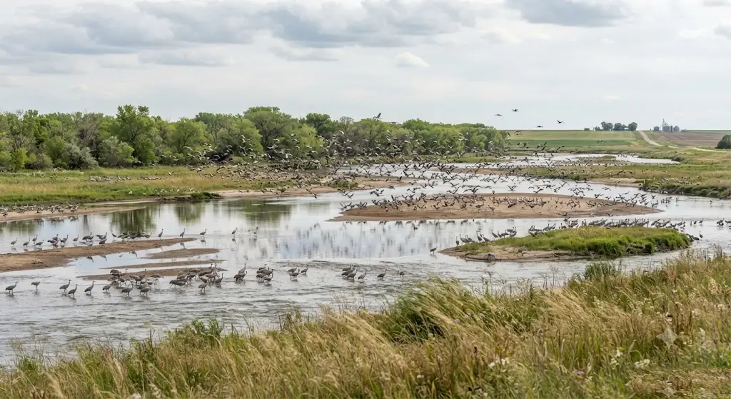 Platte River Valley (for Crane Migration), Nebraska