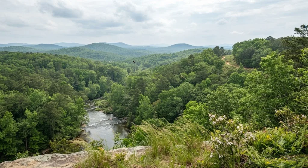 Uwharrie National Forest, North Carolina