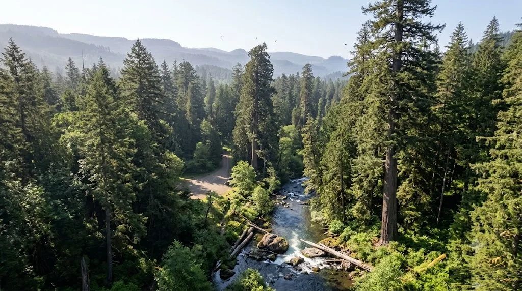 Valley of the Giants, Oregon