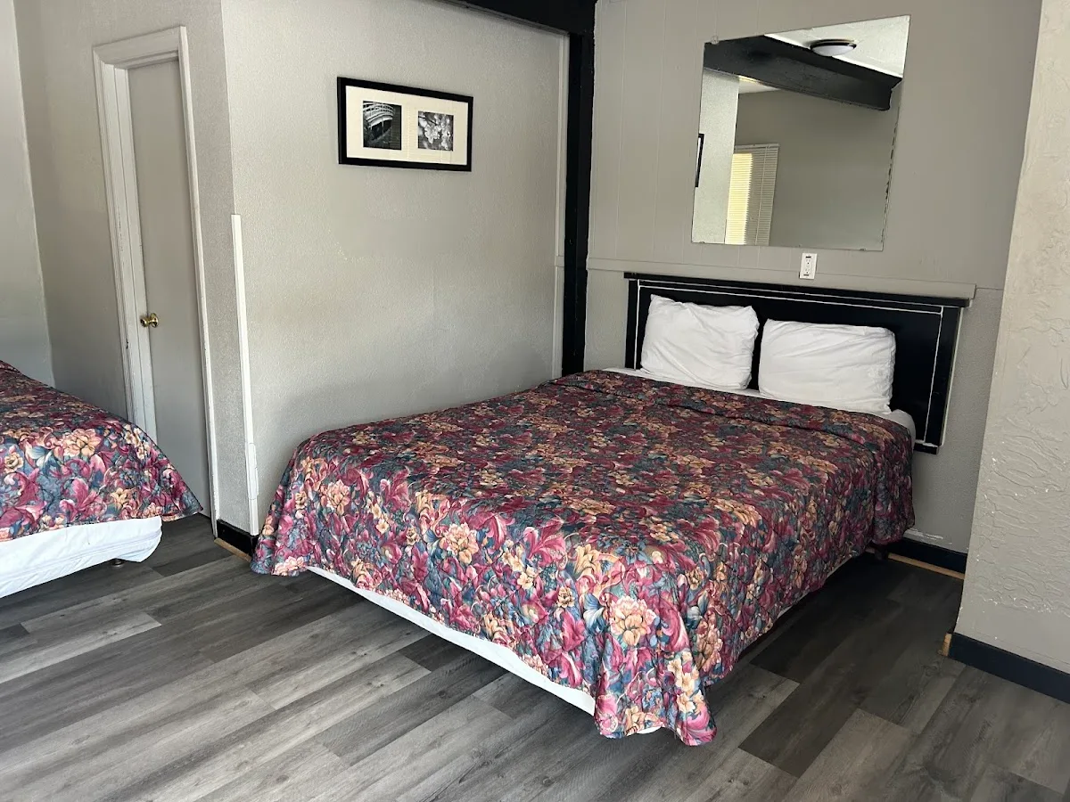 The Park Motel photo 1