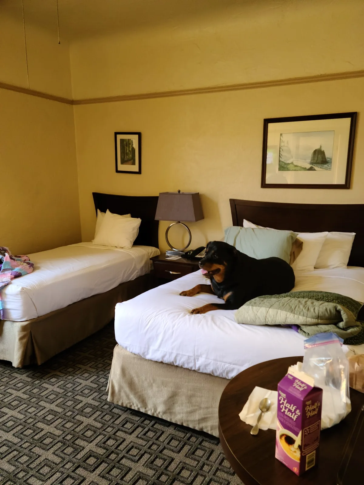 Hotel Arcata photo 1