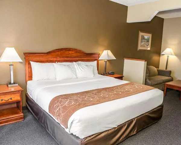 Comfort Suites photo 1