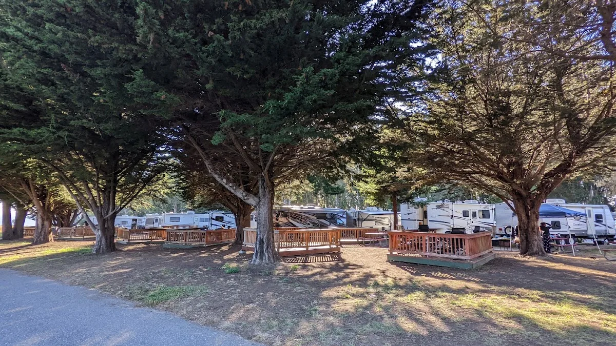 Costanoa Lodge photo 4