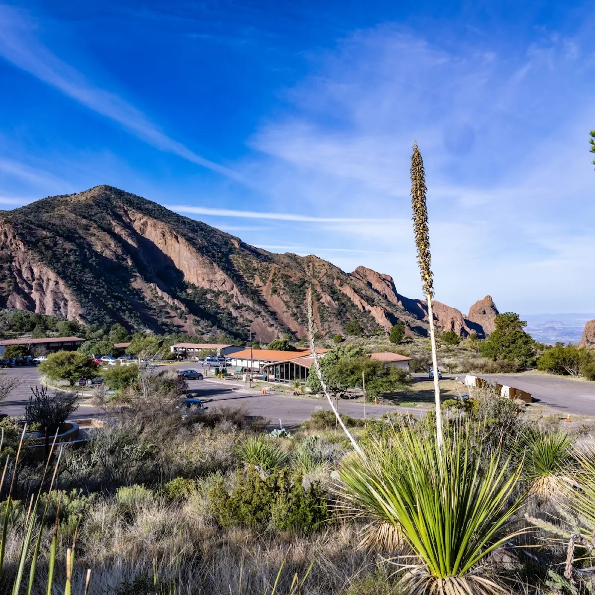 Chisos Mountains Lodge photo 4