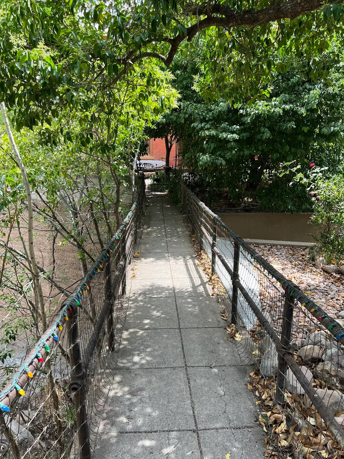 The Oliver House photo 3