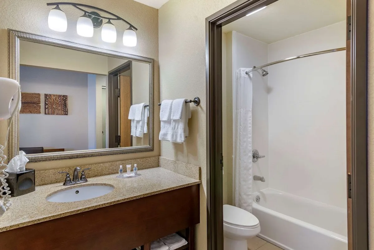 Comfort Inn photo 2