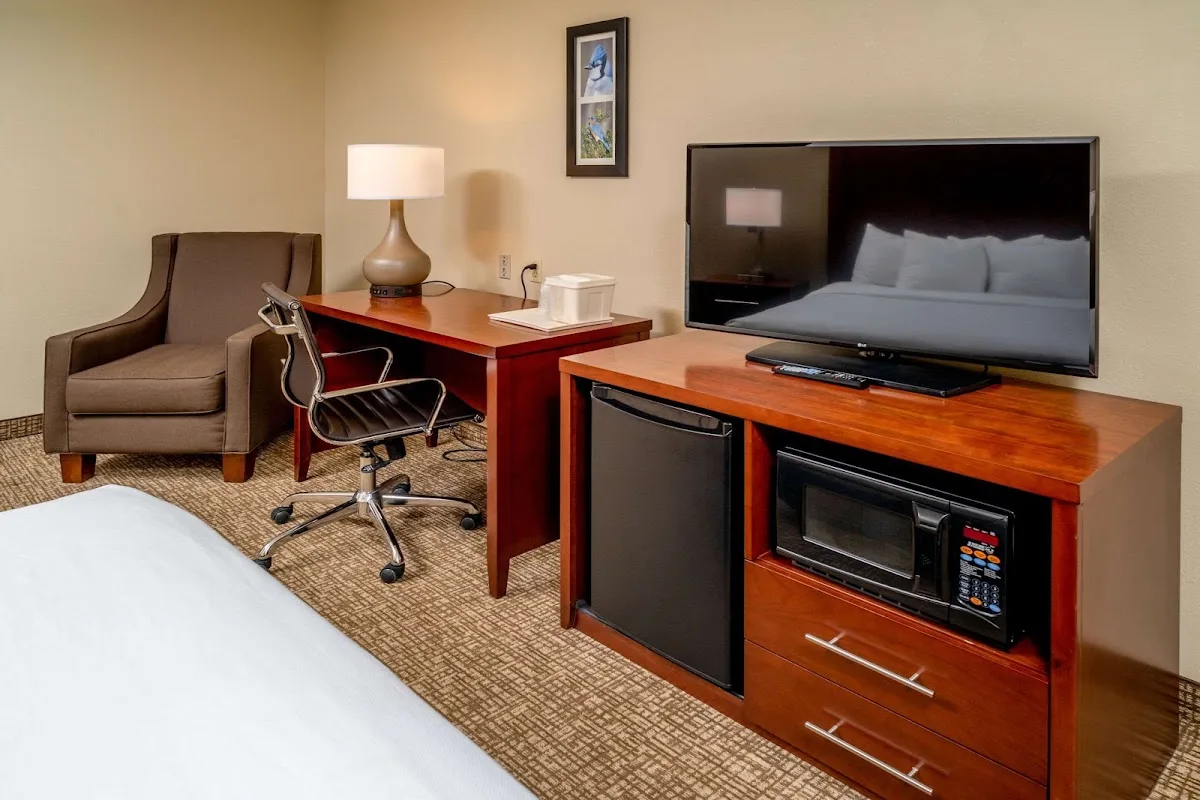 Comfort Inn & Suites photo 3