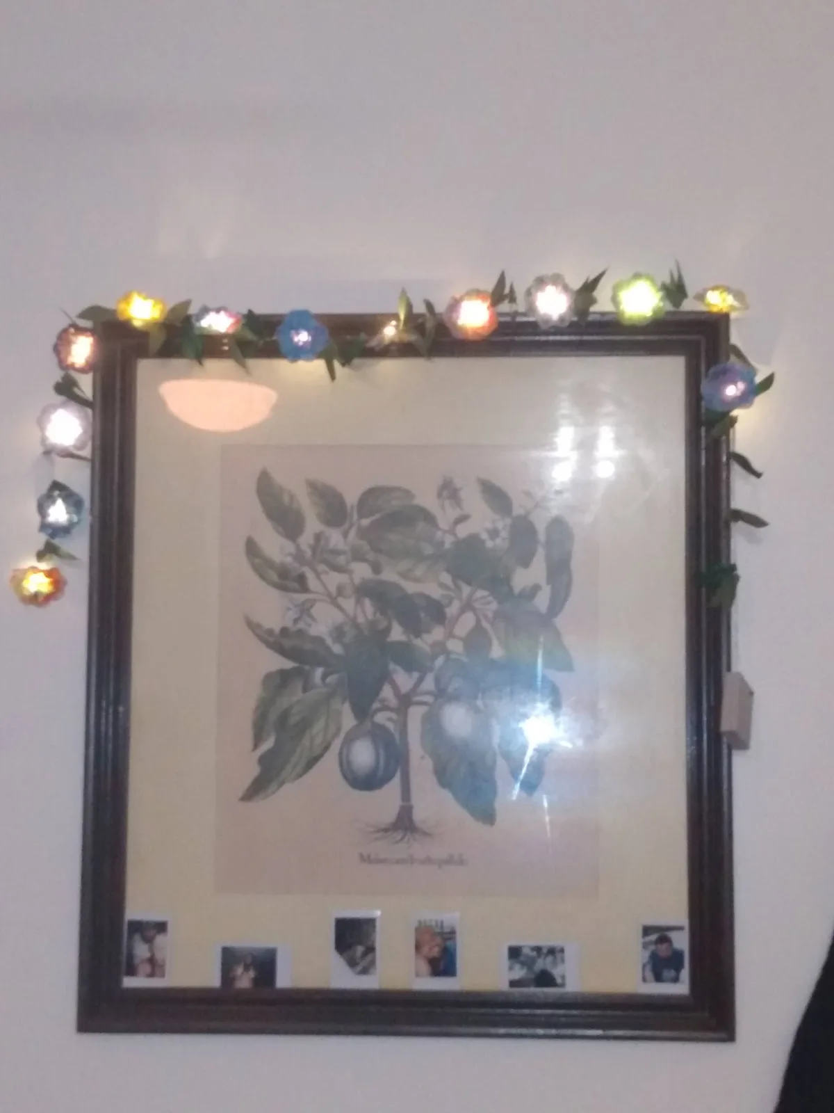 Fireside Inn photo 4